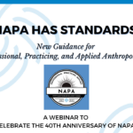 NAPA Has Standards! Webinar